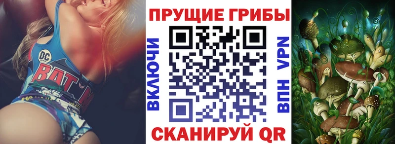 кракен как войти Новороссийск Псилоцибиновые грибы прущие грибы