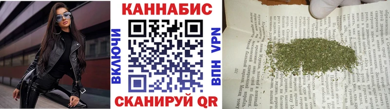 MEGA зеркало  Новороссийск  Шишки марихуана индика 